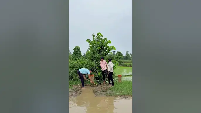 Kuch achha kam bhi ho jaye #rodkisafai #rodsaf #malik #harshbhau #gaon #friends #kisanbhai