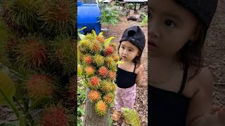 생존 기술: 숲에서 망고를 활용한 스마트하고 유용한 아이디어 #부시크래프트 #캠핑 #야외 #생존