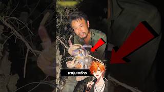 ติดเกาะกลางคืน เจอปูมะพร้าวยักษ์! 🌴