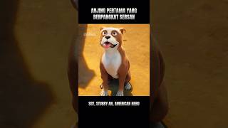ANJING PERTAMA YANG BERPANGKAT MILITER 🐶🐾 #alurceritafilm #shorts