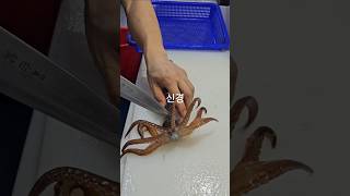 오징어 와 초장