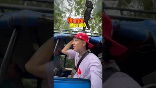 Un mono se llevó mi teléfono