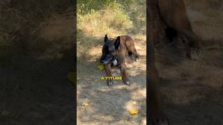 😞Malheureusement j’ai dû ouvrir une cagnotte en ligne que tu peux retrouver directement dans ma Bio