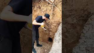 Building a Survival Cave part1#bushcraft #outdoor #survival #build #wildlife #craftingvisionary