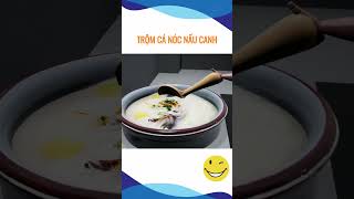 Trộm cá nóc nấu canh #giaitri #haihuoc