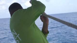 Incrementan pesca de la cojinúa en el norte de #LasTunas