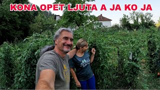 Naša bašta nakon 13 dana nezaljevanja - JEL ŠTA PREŽIVJELO