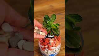 جوزي بيطردني من البيت انا وعيالي بسبب مراته التانية 😢