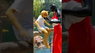 القطه مياو بهدلت الابن اليتيم😭وفرقت بينه وبين اخوه شقيقه والاب مكنش بيسمع لية😰#shorts #cat #ai