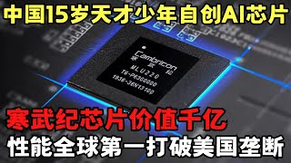 中国15岁天才少年打破美国垄断, 自创寒武纪AI芯片价值千亿, 性能全球第一震惊美国工程师｜科学边界