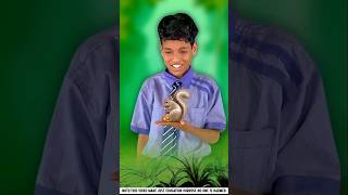 Nimura Found A New Rabits 🤯 #tiktok #cartoon #vutervideo #vutcartoon #facts #amazingfacts