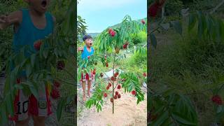 Wow! SMART idea and USEFUL with single mom #bushcraft #camping #outdoors #useful