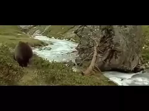 Видео которое потрясло интернет