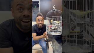 مشهور غبي في مشفى المجانين 😂🤪🤣 #shorts