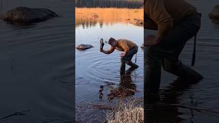 Fishing Trips Never Go As Planned #shorts