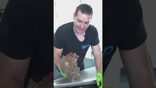 Historical corvette with only 33 miles ‼️ #corvette