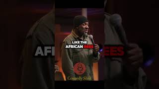 Greer Barnes | European Bees vs African Bees #shorts