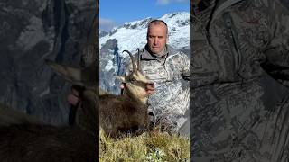 ⛰️ 비스듬히 촬영하세요! 남부 알프스에서의 샤무아 사냥 #사냥