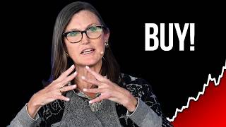 캐시 우드: "2030년까지 15배 증가할 것"