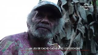 WAGÉÉRI - Un jeu de cache-cache avec les cochons