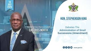 Hon. Stephenson King debates the Administration of Small Successions Amendment