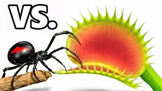 Viuda Negra vs. Planta Carnívora Venus