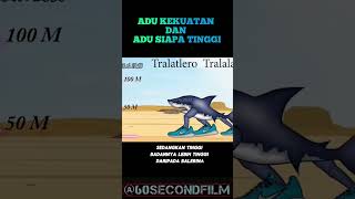 ADU KEKUATAN DAN ADU SIAPA TINGGI#cuplikanfilm