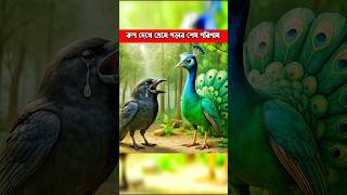 রুপ দেখে প্রেমে পড়ার পরিণাম | #shortsfeed #trending #ytshorts #motivational