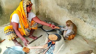 मम्मी की रानी बिटिया साथ साथ रहती  हैं।।🍝🍝 Monkey Rani with mummy cooking ।। I Love Animals