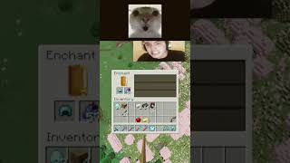 Minecraft Meme #ratcat