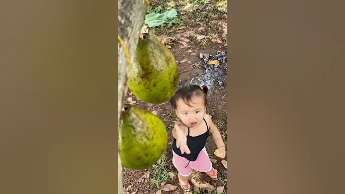 Survival Skills: SMART idea Baby and Useful with Avocado #bushcraft #camping #outdoors #survival