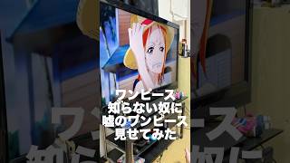 ワンピース知らない奴に嘘のワンピース見せてみたw  #日常 #友達 #シェアハウス #コウトモ #高校の友達でした #ワンピース #クスッと笑える