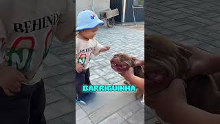 A escolha que mudou sua vida 🐕