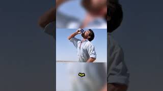 غرير العسل الغاضب 😳🐨 طارد الرجل حتى وقعا في حب بعض! 🚶❤️🤯