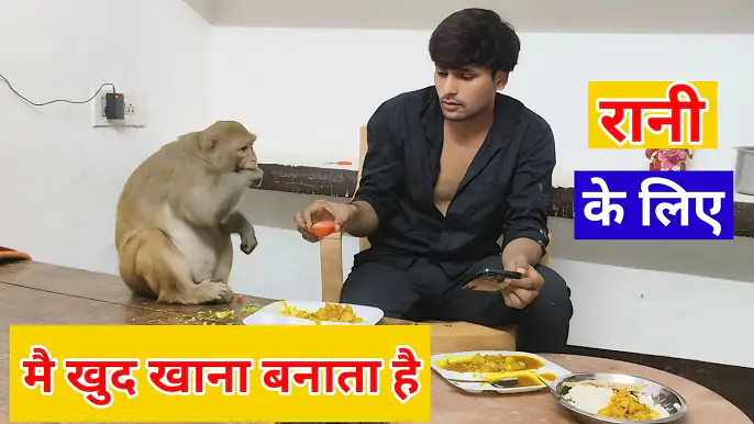 Monkey Rani ke liye khana Aakash banata hai।। Aakash Monkey  Rani ko khana kaise khilata hai 🤣।।