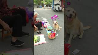 狗狗買茄子要求秤重，攤主嫌棄的丟錢Dog asks to weigh eggplant when buying it