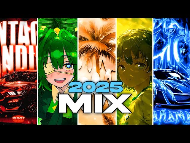 𝗠𝗜𝗫 𝗼𝗳 𝘁𝗵𝗲 𝗕𝗘𝗦𝗧 𝗕𝗥𝗔𝗭𝗜𝗟𝗜𝗔𝗡 𝗣𝗛𝗢𝗡𝗞 𝗼𝗳 𝟮𝟬𝟮𝟱 | 𝘚𝘭𝘰𝘸𝘦𝘥 𝘢𝘯𝘥 𝘙𝘦𝘷𝘦𝘳𝘣  💫‼️