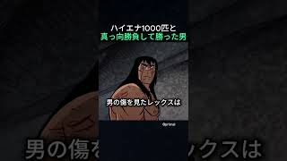 ハイエナ1000匹と真っ向勝負して勝った男