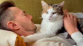 경찰견이 없으세요? 고양이가 근무 중이면 문제없어요! ❤️