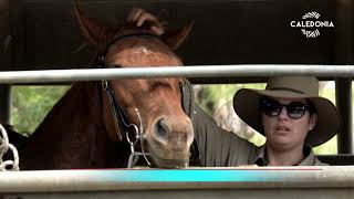 L’école de rodéo, un atout pour les cow-boys du pays