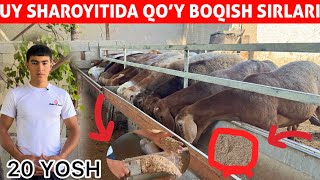 20 YOSHLI YIGIT 1 QOYNI 80 TAGA YETKAZDI | SIRLARINI OCHDI