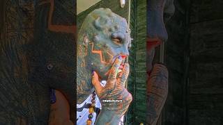 Он решил убрать все тату 😱