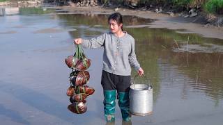 연못의 물을 빼고! 조개, 미꾸라지, 가재, 그리고 물고기를 잔뜩 잡았어요!