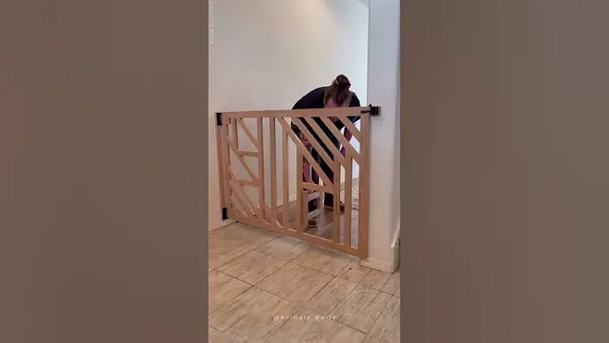 Cat’s reaction after opening the door 🥰😂 #cats #cat #funny #funnycatvideos #pets #catshorts #cute