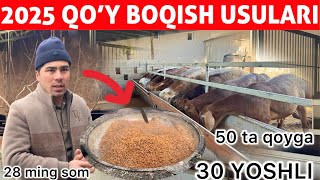 30 YOSHLI YIGIT QOY BOQISHDA 15 YIL TAJRIBA | 2025 SIRLARI