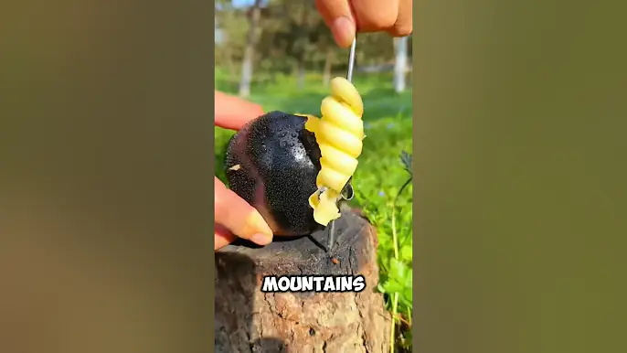 Top 5 Rare Fruits You’ve Never Seen (With Insane Health Benefits)