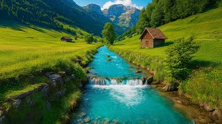 استرخاء وتأمل مع مناظر طبيعية خلابة وأصوات الطبيعة النقية | Calming Nature Sounds