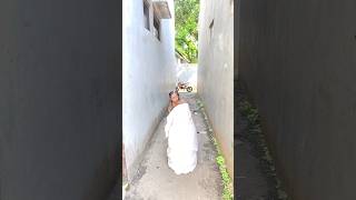 UJANG BERHALUSINASI TINGKAT TINGGI #videokocak #bigdudi #videoshorts