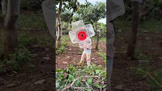 생존 기술: 코코넛을 활용한 SMART 아이디어와 유용한 정보 #반바지 #부시크래프트 #캠핑 #야외 #생존