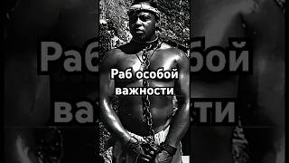 특별히 중요한 노예 #영화 #정확하게말했다 #역사 #사실을원한다 #역사 #숨겨진 #아름답게말했다